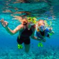 Aquatic Exploration in Key Largo with Diversions Sea Charter